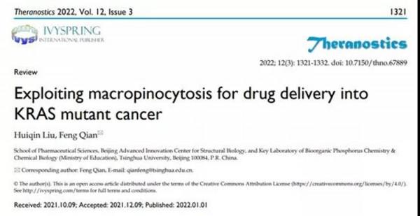 清華大學藥學院錢鋒課題組闡釋利用巨胞飲針對KRAS突變的腫瘤進行藥物遞送
