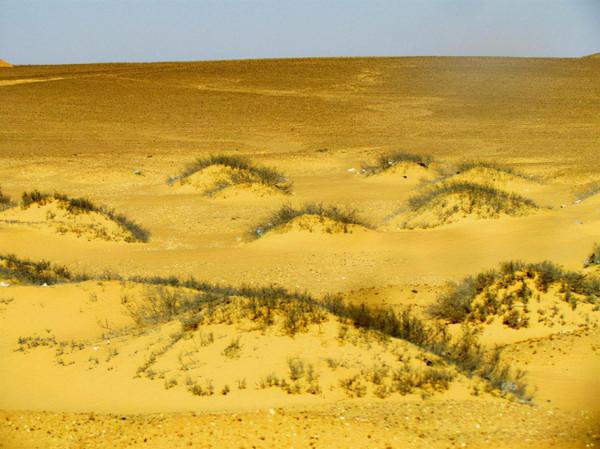 埃及旅遊：自駕穿越撒哈拉沙漠行（圖）