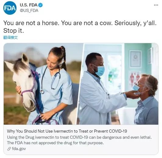 不作不死 溫哥華網紅堅信新冠不存在 猝死家中 出現症狀後狂吃獸藥 不作不死 溫哥華網紅堅信新冠不存在 猝死家中 出現症狀後狂吃獸藥