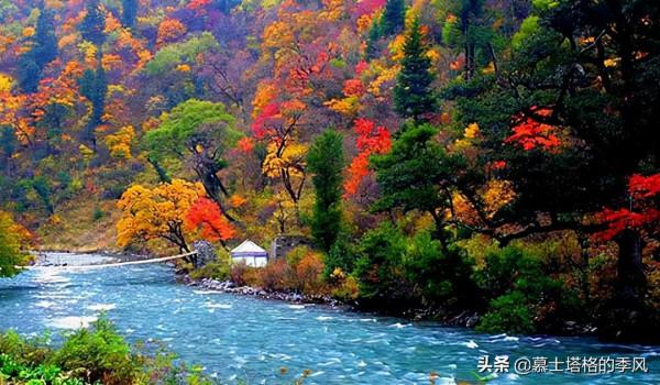 中國最美的10個紅葉景區,每一個都美到極致,你去過幾個? 中國最美的10個紅葉景區,每一個都美到極致,你去過幾個?