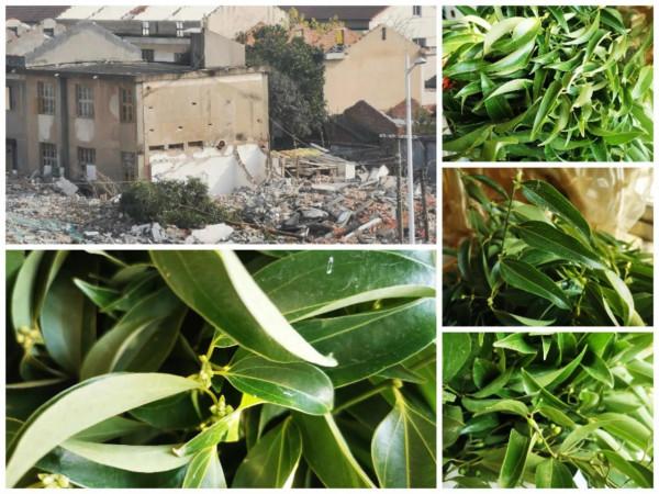 中年人的煩惱，為了賺錢讓80多歲的父母成為留守老人｜一片香葉