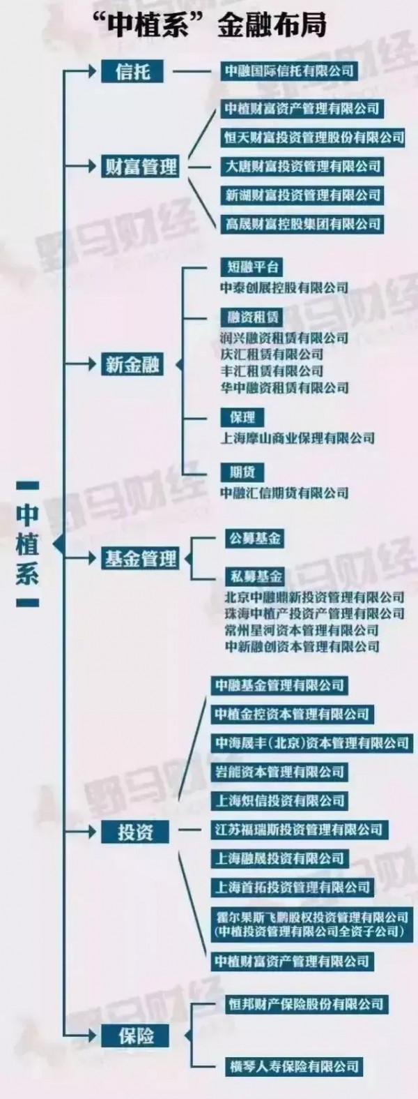 歌星毛阿敏丈夫解直錕的中植系，了不起(原創打油詩一首)