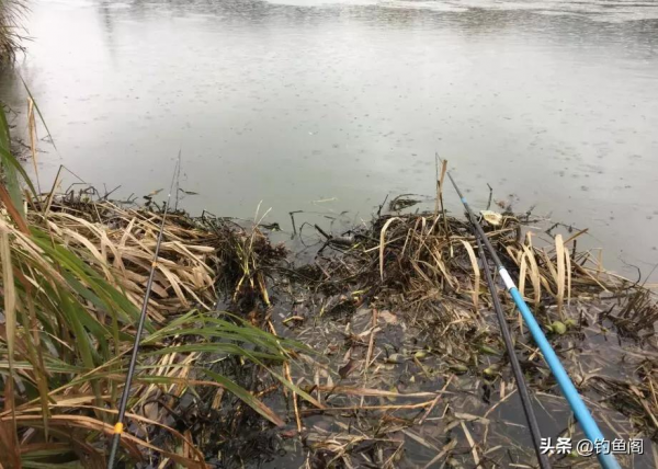 天冷如何選釣點?務必記住這個選擇順序,實戰經驗總結 天冷如何選釣點?務必記住這個選擇順序,實戰經驗總結