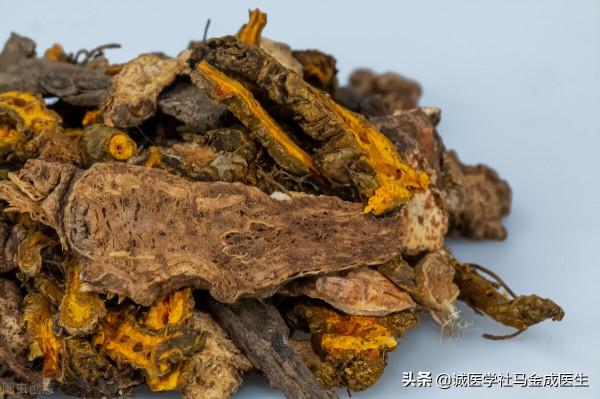 脾虛，溼熱盛，送你三味藥，一味健脾、一味清熱、一味祛溼