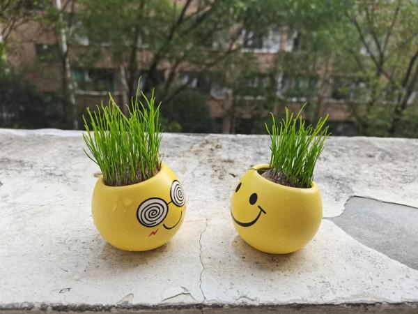 三分鐘熱度之後帶來的到底是什麼? 三分鐘熱度之後帶來的到底是什麼?