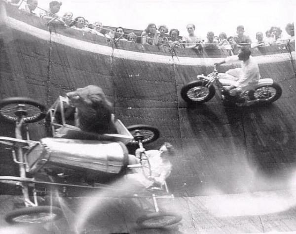 30張活久見的照片，消防員給昏迷的狗做人工呼吸，猩猩戴墨鏡耍酷