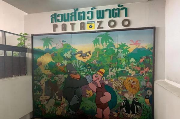 被囚禁水泥牢籠38年,一隻眼睛含淚的猩猩,成了無數人心中的痛 被囚禁水泥牢籠38年,一隻眼睛含淚的猩猩,成了無數人心中的痛