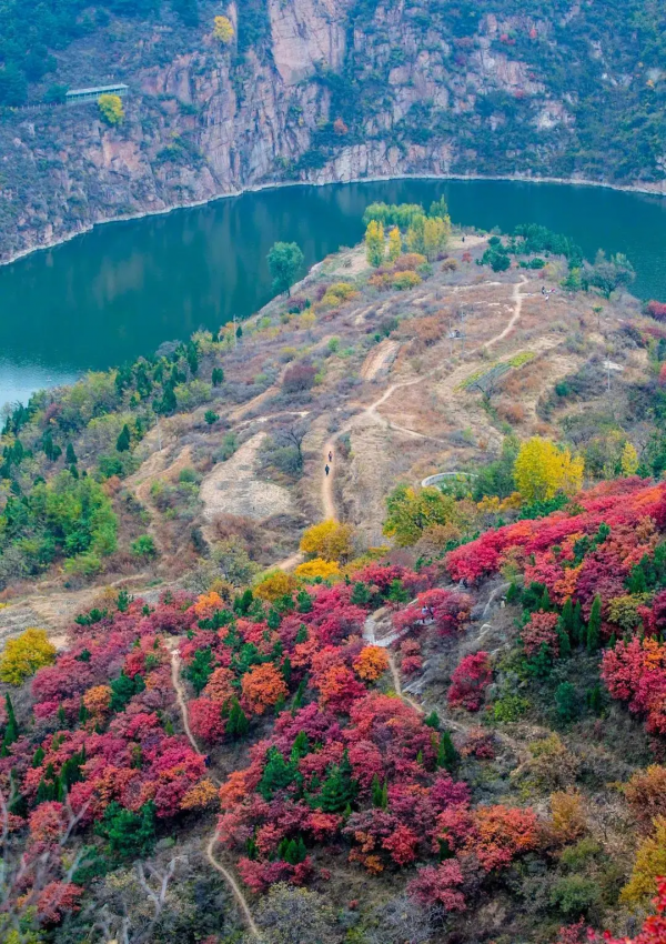 靈山秀水,漫山紅葉......一到深秋,這個被人遺忘的世外桃源又美成仙! 靈山秀水,漫山紅葉......一到深秋,這個被人遺忘的世外桃源又美成仙!