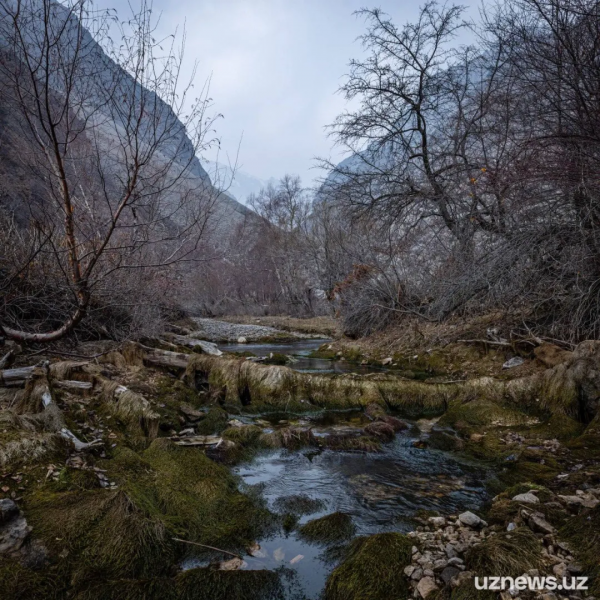 烏茲別克竟有如此神秘美景
