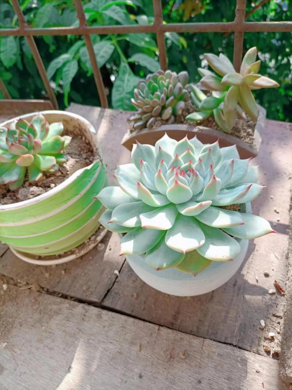 《不了情》——大衛原創詩