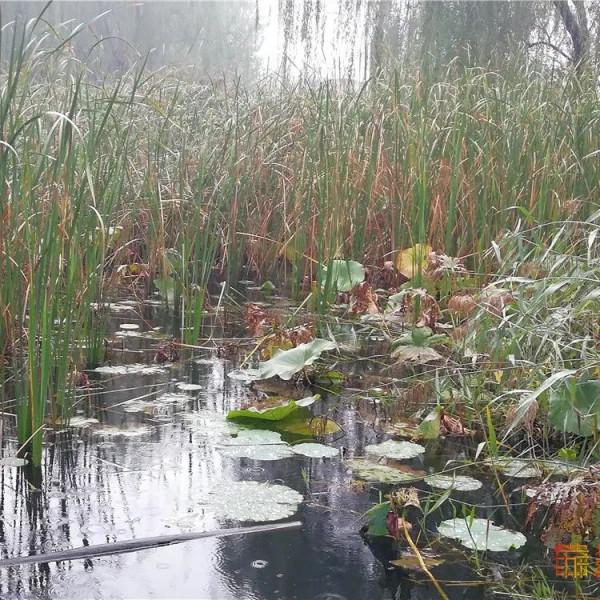 美哭了！不用去雲貴高原，在北京就能欣賞到的超美梯田，還免門票~