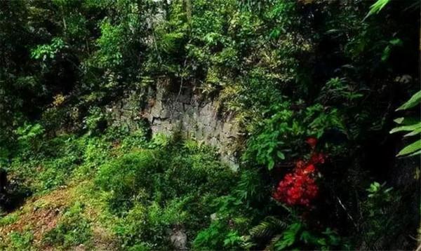 浙江有座無名&OpenCurlyDoubleQuote;皇帝墓&rdquo;，村民守墓千年，08年才知墓主身份