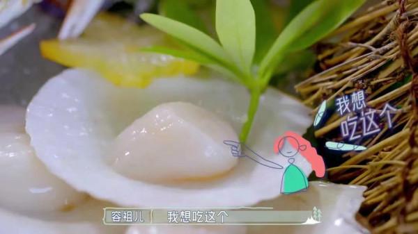 逍灑每一客，吃喝又玩樂。——海南篇