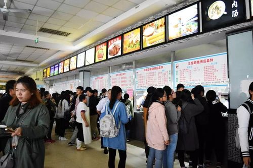 大四學子日記，打卡第二天