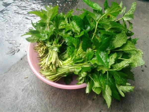 大山裡的美味，用來涮火鍋是一絕，營養豐富價值高，你可吃過？