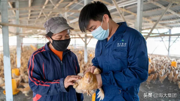 實力再獲認可 海大集團再度榮登2021年度農業產業化頭部企業名單