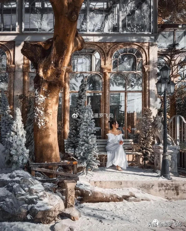 體驗新年最濃氛圍，曼谷全攻略來了，這些地方不可錯過