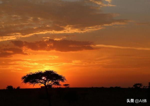 來自世界 50 個地方的壯麗日落