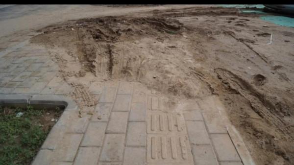 人工育蟲養禽三法