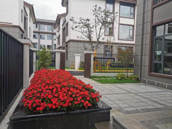 市場需要的不是“降價”，而是高水平的“經營和服務”