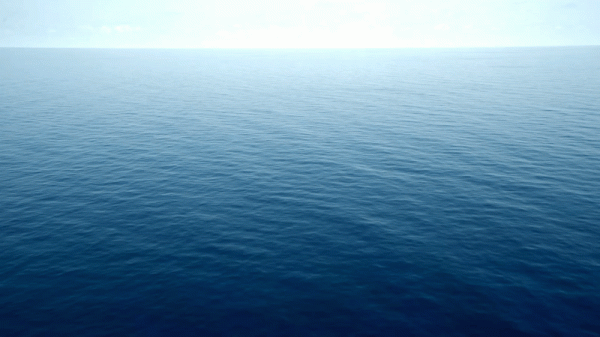 王一博的味道，我知道