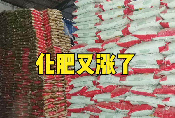 尿素、二銨、複合肥又漲了？3-5月或仍持續走高，市場咋回事？