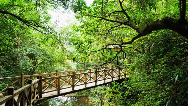 浙江一冷門景區,原始生態儲存完好,有深山老林中的綠色明珠之稱 浙江一冷門景區,原始生態儲存完好,有深山老林中的綠色明珠之稱