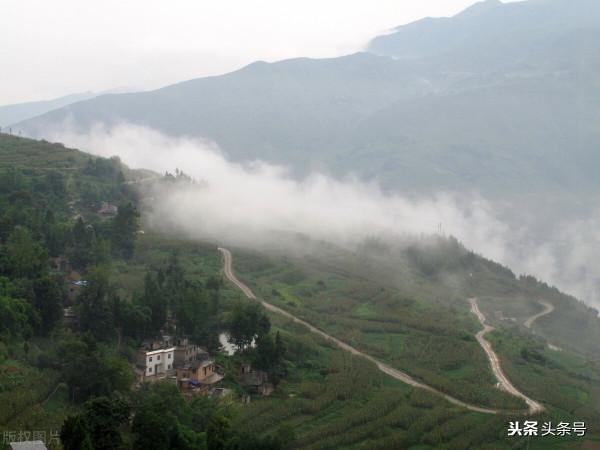 川藏線人狼奇緣