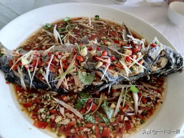 四川黑龍灘景區一大不足,讓我們很快打道回府 四川黑龍灘景區一大不足,讓我們很快打道回府