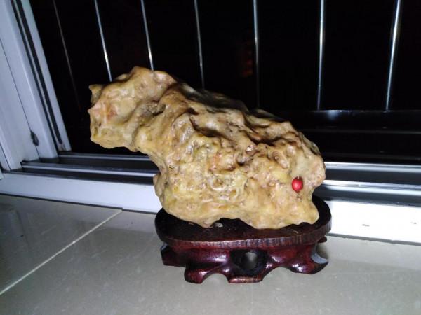 《戈壁天然混成類似形狀怪獸、風遺留痕跡在泥石金絲玉寶石光等》