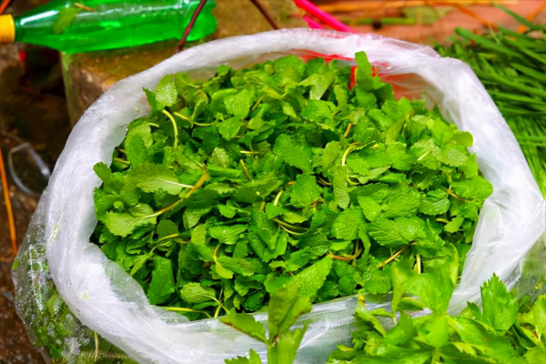 北方人去雲南逛菜市場，一個菜都不認識，本地人：我自己也認不全