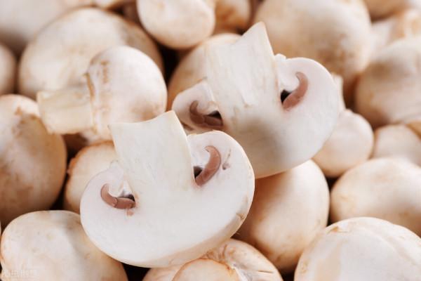 用蘑菇治療新冠?FDA批准,相關早期試驗正在進行 用蘑菇治療新冠?FDA批准,相關早期試驗正在進行