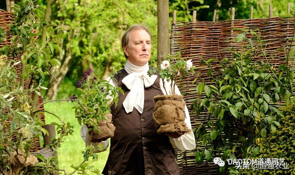 花友的假期影單推薦:這幾部園藝主題電影希望能治癒你的心 花友的假期影單推薦:這幾部園藝主題電影希望能治癒你的心