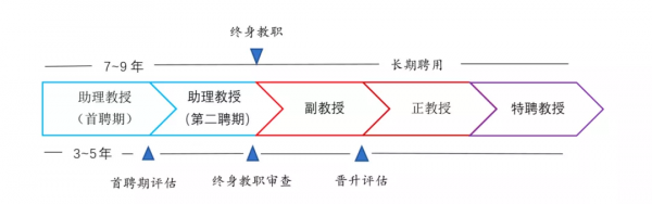 再見了，高校事業編