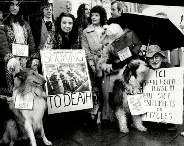 為證明吸菸無害，英國菸草公司讓狗每天吸30支菸，三年後結果如何