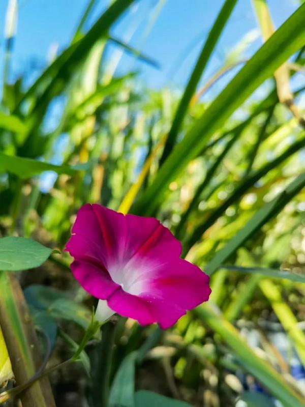 《我的大學》——最重要的是知道學什麼、怎麼學、為什麼學