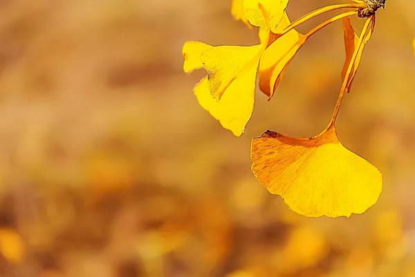 人到中年以後,不管你有錢沒錢,都別讓兩種親戚住在家裡 人到中年以後,不管你有錢沒錢,都別讓兩種親戚住在家裡