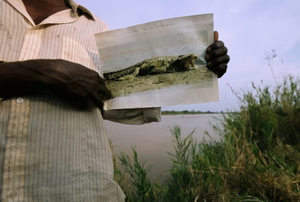 傳奇巨鱷古斯塔夫：十年殘殺300餘人，軍隊打不死，至今逍遙法外