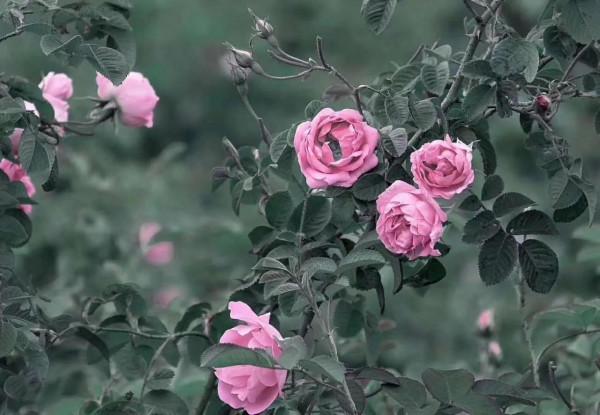 痘痘肌，平時怎麼護膚比較好？