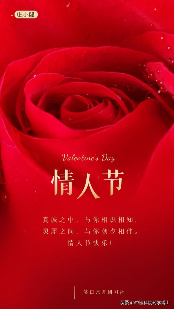 尿酸高、痛風人該知道：菊苣和菊苣根，誰降尿酸效果更好？看研究