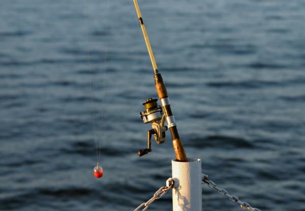 新人不能不知的淡水水域作釣攻略，連桿必備知識