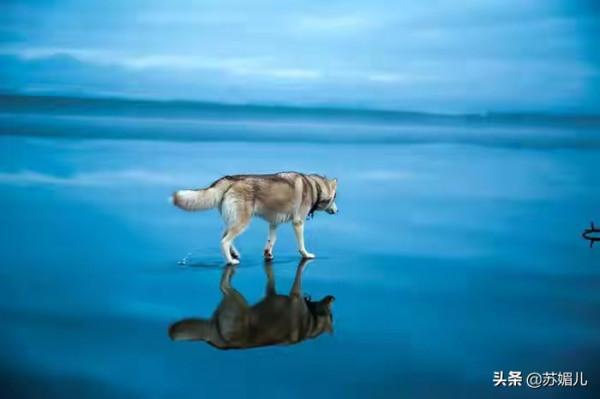 太震撼了!27張神奇的圖片帶你領略大自然的鬼斧神工 太震撼了!27張神奇的圖片帶你領略大自然的鬼斧神工