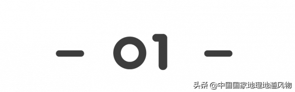 甘肅人的命,都是土豆給的 甘肅人的命,都是土豆給的