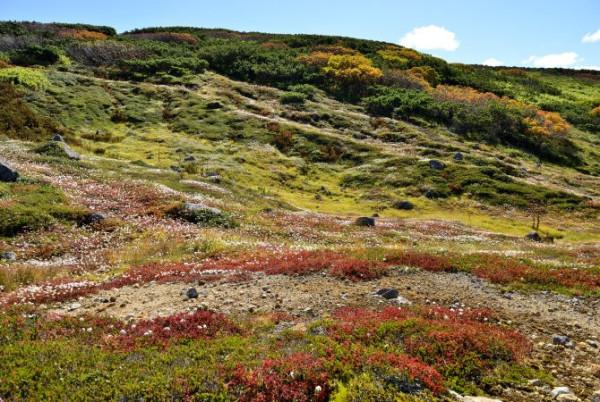 九月的日本：由夏入秋