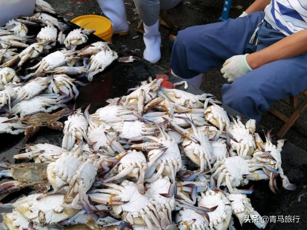 天津的一處早市以海鮮為主,就位於濱海新區,休息日人群絡繹不絕 天津的一處早市以海鮮為主,就位於濱海新區,休息日人群絡繹不絕