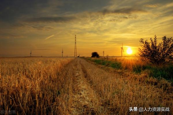 我在俄羅斯當農民，在西伯利亞開荒種糧種菜養雞養豬的難忘歲月