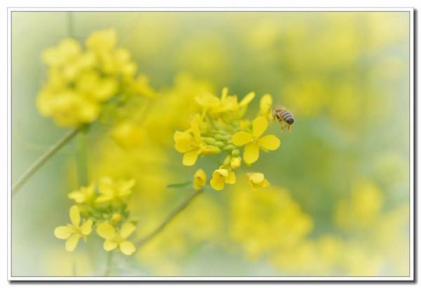天地之中話中用一一君子修身應篤實