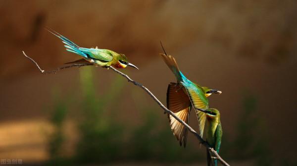 像候鳥一樣避寒避暑，會打亂人的身體機能