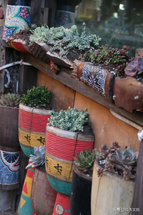走進麗江古城多肉世界，目之所及皆是治癒