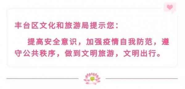 豐臺金秋文化旅遊季——綠野仙蹤郊野樂園，魔法打造的童趣世界！